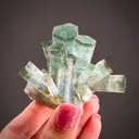 Beryl var. Aquamarine with Heliodor - image 1