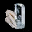 Beryl var. Aquamarine with Muscovite - image 1