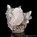 Beryl var. Aquamarine with Muscovite and Feldspar - image 8