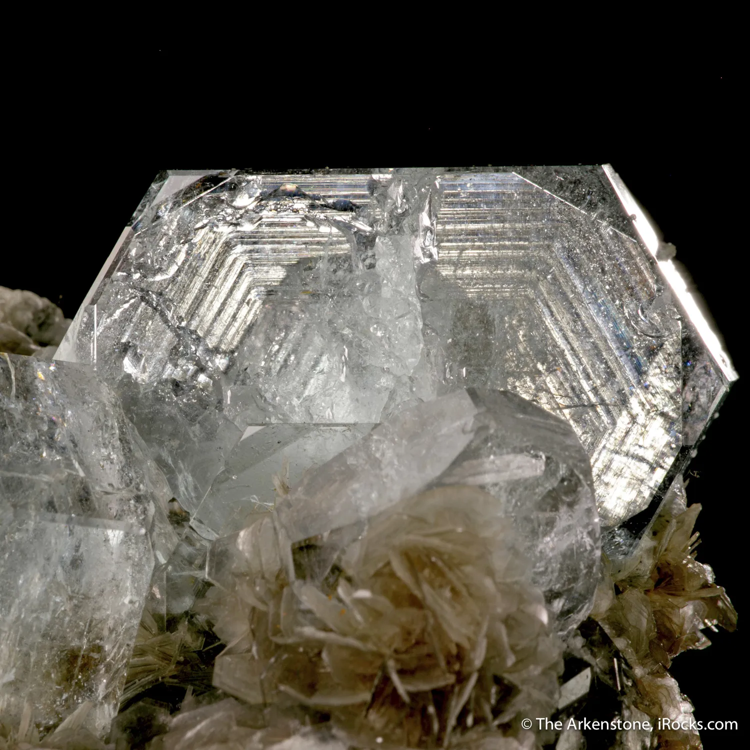 Beryl var. Aquamarine with Muscovite - image 5