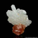 Beryl var. Aquamarine with Scheelite - image 3