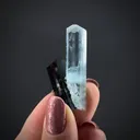 Beryl var. Aquamarine with Schorl - image 2
