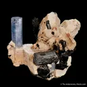 Beryl var. Aquamarine with Schorl and Feldspar - image 3