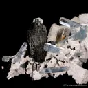 Beryl var. Aquamarine with Schorl and Microcline - image 3