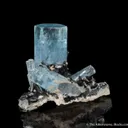 Beryl var. Aquamarine with Schorl and Microcline - image 3