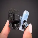 Beryl var. Aquamarine with Schorl - image 1