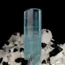 Beryl var. Aquamarine with Schorl on Albite - image 2
