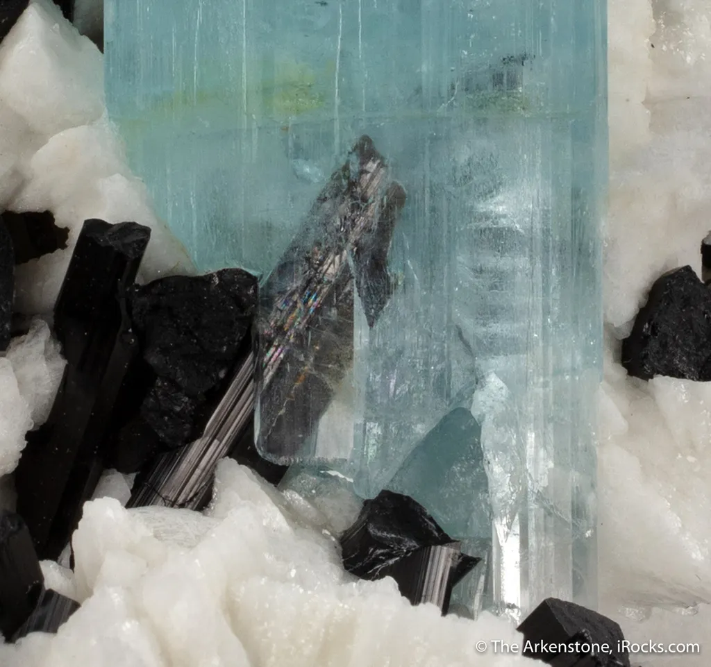 Beryl var. Aquamarine with Schorl on Albite - image 3
