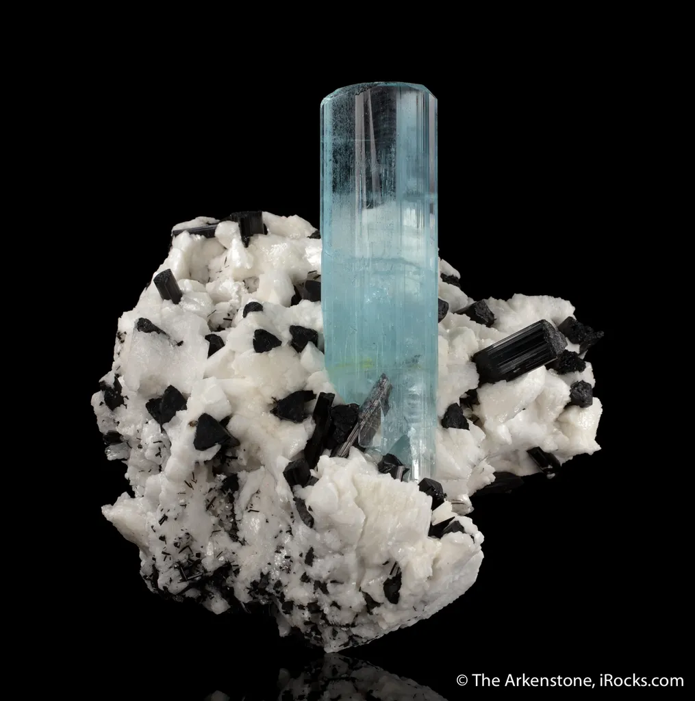 Beryl var. Aquamarine with Schorl on Albite image