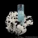 Beryl var. Aquamarine with Schorl on Albite - image 1