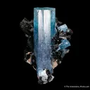 Beryl var. Aquamarine with Schorl (Tourmaline) - image 3