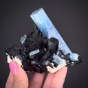 Beryl var. Aquamarine with Schorl (Tourmaline) - image 1