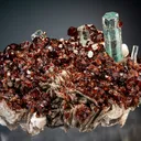 Beryl var. Aquamarine with Spessartine on Microcline and Muscovite - image 1