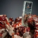 Beryl var. Aquamarine with Spessartine on Muscovite - image 2