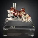 Beryl var. Aquamarine with Spessartine on Muscovite - image 4