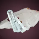 Beryl var. Aquamarine with Spessartine on Quartz - image 5