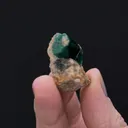 Beryl var. Emerald - image 2