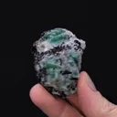 BERYL var. Emerald - image 2