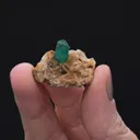 Beryl var. Emerald - image 2