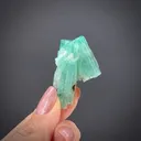 Beryl var. Emerald - image 2