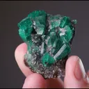 Beryl Var. Emerald - image 2