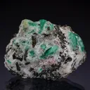 BERYL var. Emerald - image 1