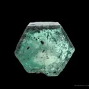 Beryl Var. Emerald - image 1