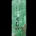 Beryl Var. Emerald - image 3