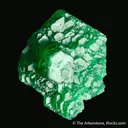 Beryl var. Emerald - image 5