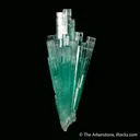 Beryl var. Emerald - image 4
