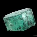 Beryl Var. Emerald - image 2