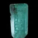 Beryl Var. Emerald - image 3