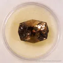 Beryl var. Emerald, Beryl var. Aquamarine, Quartz var. Smoky, Rutile (Rough & Cut set) - image 5