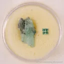 Beryl var. Emerald, Beryl var. Aquamarine, Quartz var. Smoky, Rutile (Rough & Cut set) - image 9