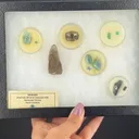 Beryl var. Emerald, Beryl var. Aquamarine, Quartz var. Smoky, Rutile (Rough & Cut set) - image 2