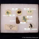 Beryl var. Emerald, Beryl var. Aquamarine, Quartz var. Smoky, Rutile (Rough & Cut set) - image 10