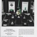 Beryl var. Emerald - image 2