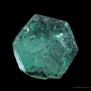Beryl Var. Emerald - image 3