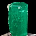 Beryl Var. Emerald - image 3