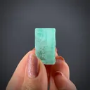 Beryl var. Emerald - image 2