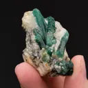 Beryl var. Emerald - image 2