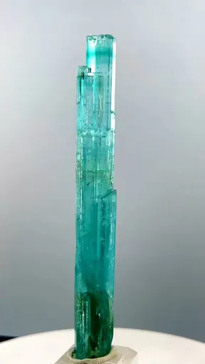 specimen video