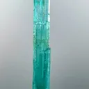 specimen video