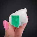 Beryl var. Emerald in Calcite - image 1