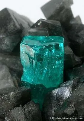 Beryl Var. Emerald on Calcite - image 2