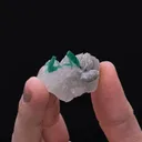 Beryl var. Emerald on Calcite - image 2