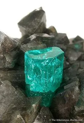 Beryl Var. Emerald on Calcite - image 3