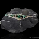 Beryl var. Emerald with Calcite - image 1