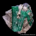 Beryl var. Emerald with Pyrite on Matrix - image 3