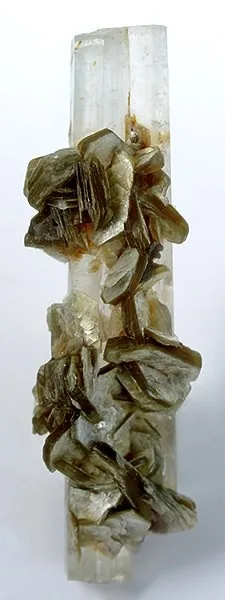 Beryl (Var: Goshenite), Muscovite image